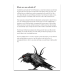 Crowthulhu - a Cosmic Horror Setting for Be Like a Crow (PDF)